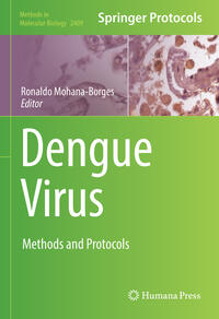 Vorderes Coverbild Dengue Virus