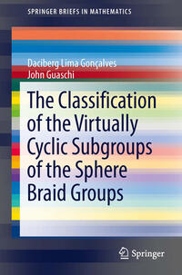 Vorderes Coverbild The Classification of the Virtually Cyclic Subgroups of the Sphere Braid Groups