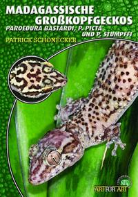 Vorderes Coverbild Madagassische Großkopfgeckos