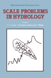 Vorderes Coverbild Scale Problems in Hydrology