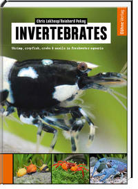 Vorderes Coverbild Invertebrates
