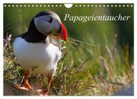 Vorderes Coverbild Papageientaucher (Wandkalender 2025 DIN A4 quer), CALVENDO Monatskalender