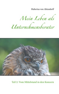Vorderes Coverbild Mein Leben als Unternehmensberater