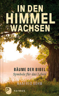 Vorderes Coverbild In den Himmel wachsen