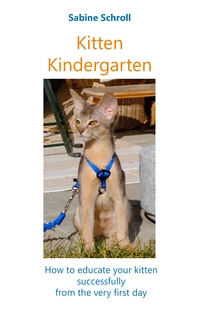 Vorderes Coverbild Kitten Kindergarten