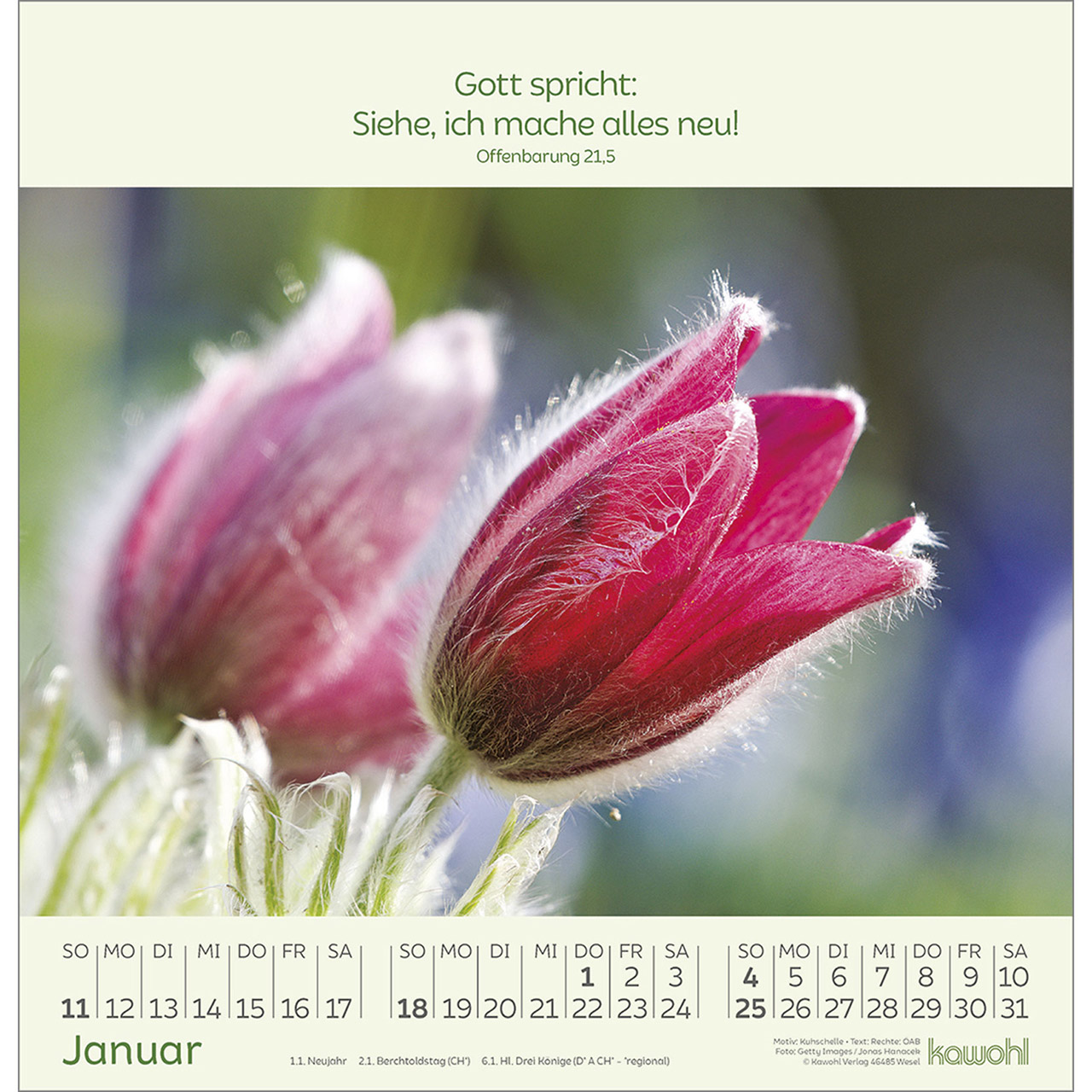 Beispielinhalt (Bild) Blumengrüße 2026