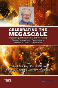 Vorderes Coverbild Celebrating the Megascale
