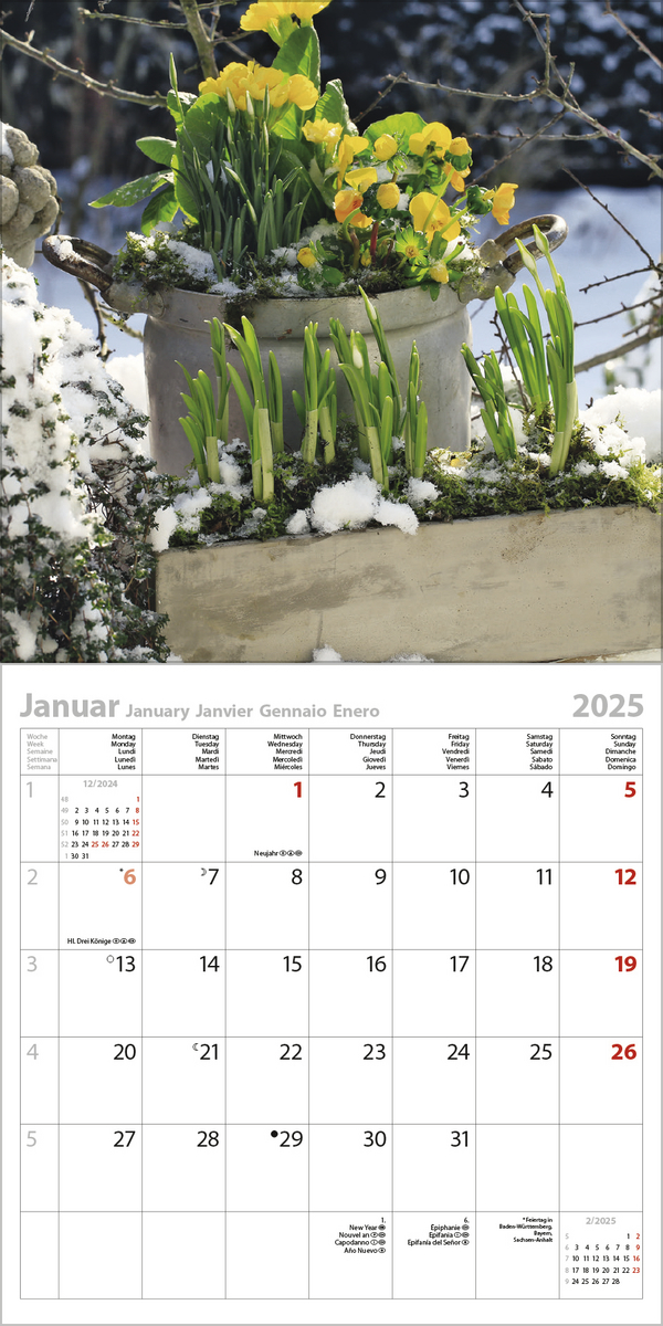 Beispielinhalt (Bild) Gartenträume 2025