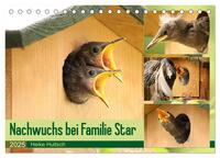 Vorderes Coverbild Nachwuchs bei Familie Star (Tischkalender 2025 DIN A5 quer), CALVENDO Monatskalender