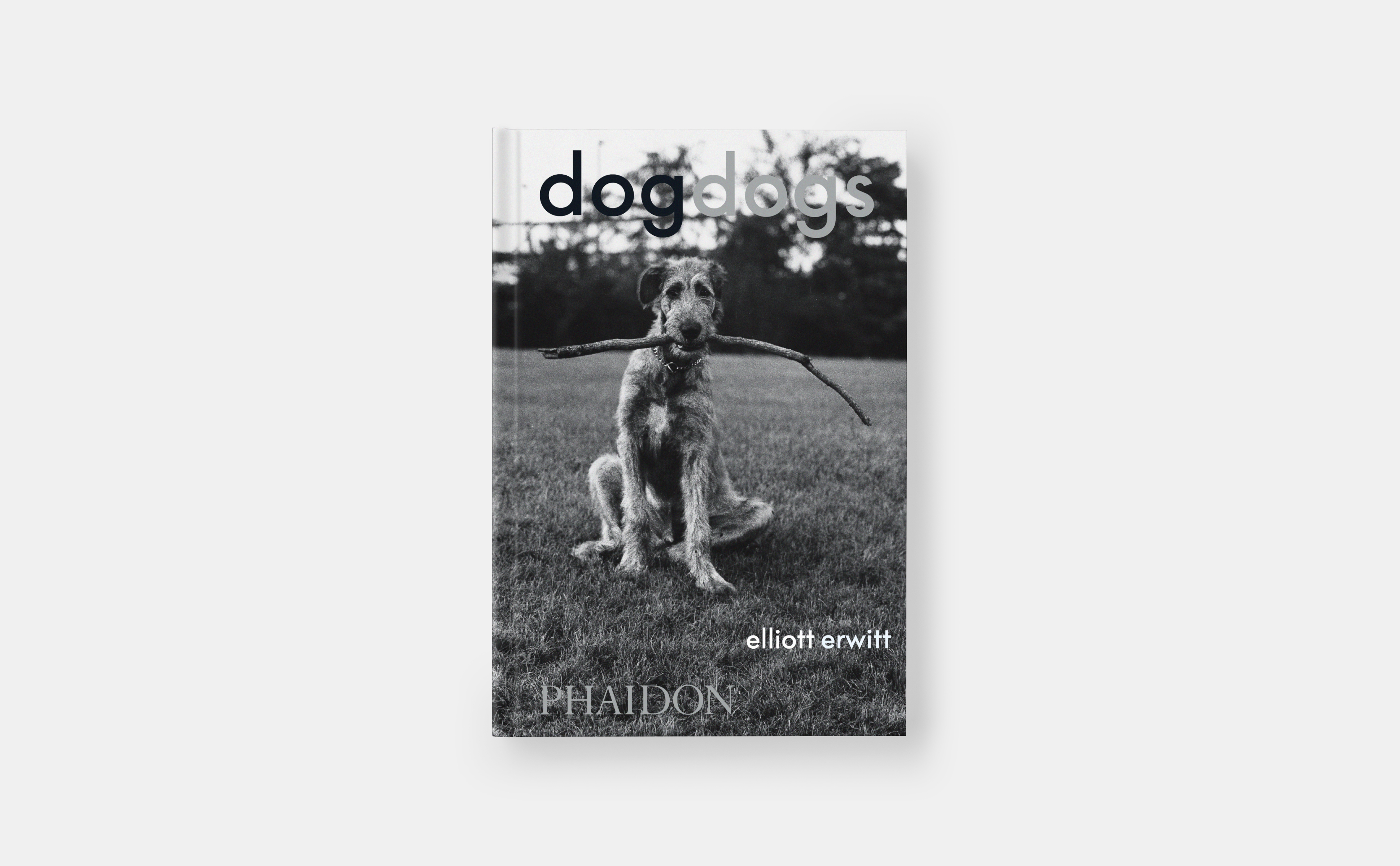 Beispielinhalt (Bild) DogDogs