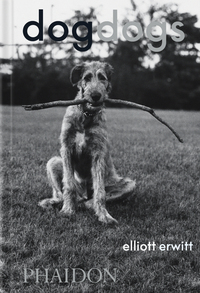 Vorderes Coverbild DogDogs