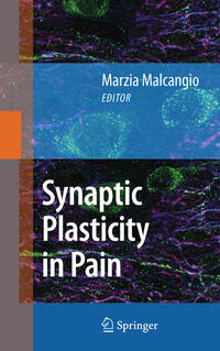 Vorderes Coverbild Synaptic Plasticity in Pain