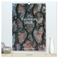 Vorderes Coverbild Baumrinde 2026 (hochwertiger Premium Wandkalender 2026 DIN A2 hoch), Kunstdruck in Hochglanz