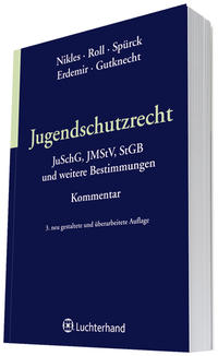 Vorderes Coverbild Jugendschutzrecht