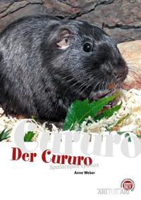 Vorderes Coverbild Der Cururo