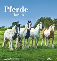 Vorderes Coverbild Alpha Edition - Pferde 2025 Postkartenkalender, 16x17cm, Kalender mit Postkarten zum Heraustrennen, Monatsübersicht, zum Aufstellen oder Aufhängen und internationales Kalendarium