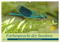 Vorderes Coverbild Farbenpracht der Insekten (Wandkalender 2025 DIN A2 quer), CALVENDO Monatskalender