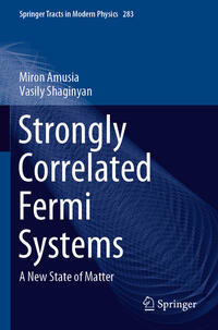 Vorderes Coverbild Strongly Correlated Fermi Systems