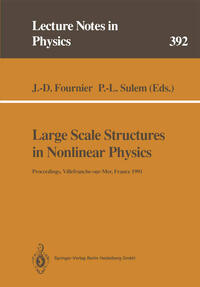 Vorderes Coverbild Large Scale Structures in Nonlinear Physics