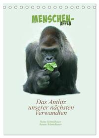 Vorderes Coverbild Menschenaffen - Das Antlitz unserer nächsten Verwandten (Tischkalender 2026 DIN A5 hoch), CALVENDO Monatskalender