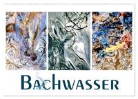 Vorderes Coverbild Bachwasser (Wandkalender 2025 DIN A2 quer), CALVENDO Monatskalender