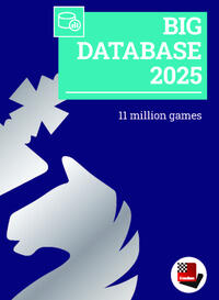 Vorderes Coverbild Big Database 2025