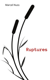Vorderes Coverbild Ruptures