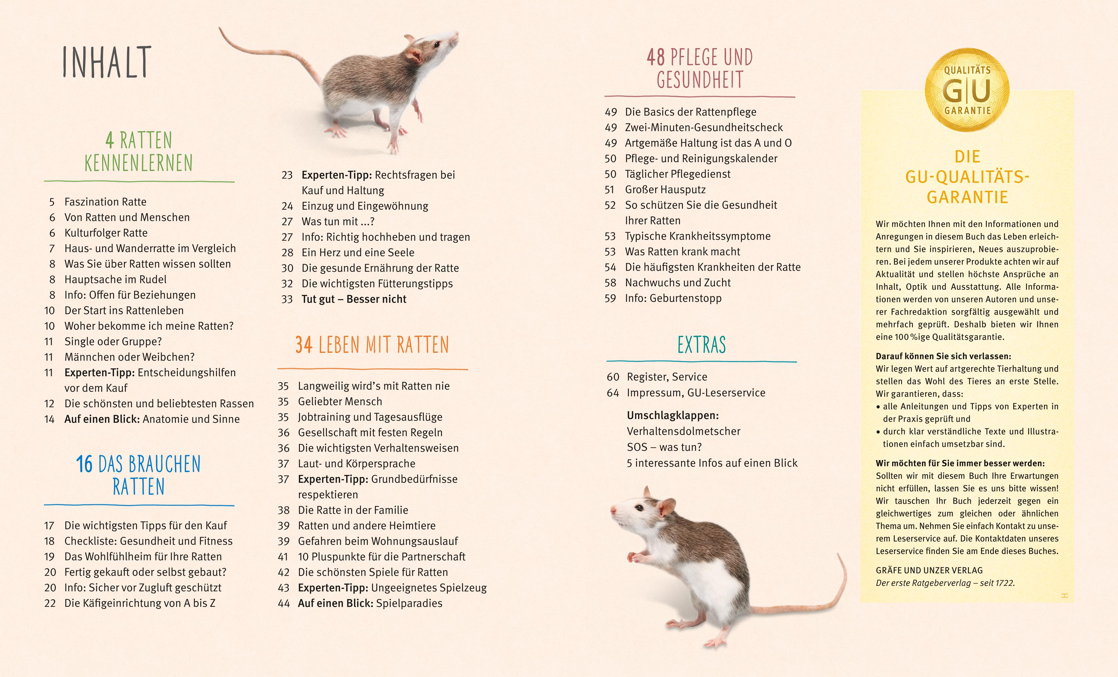Beispielinhalt (Bild) Ratten