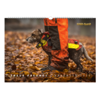 Vorderes Coverbild Treue Freunde Kalender 2025