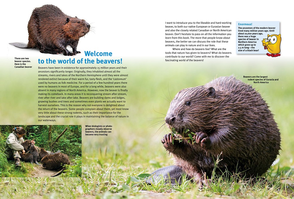 Beispielinhalt (Bild) Discover the Beavers