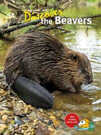 Vorderes Coverbild Discover the Beavers