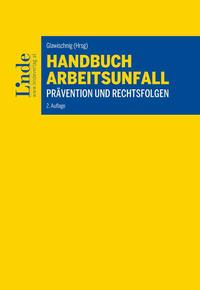 Vorderes Coverbild Handbuch Arbeitsunfall