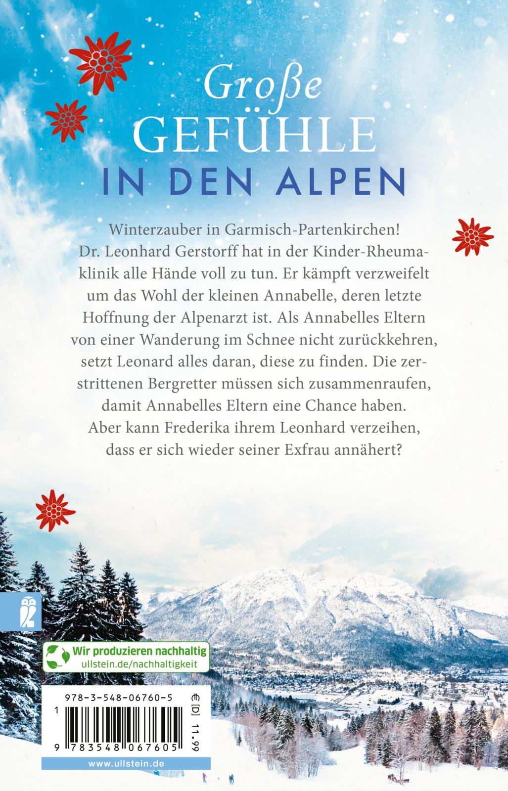 Rückseitencover Der Bergretter (Der Bergretter 2)