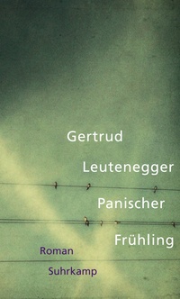 Vorderes Coverbild Panischer Frühling
