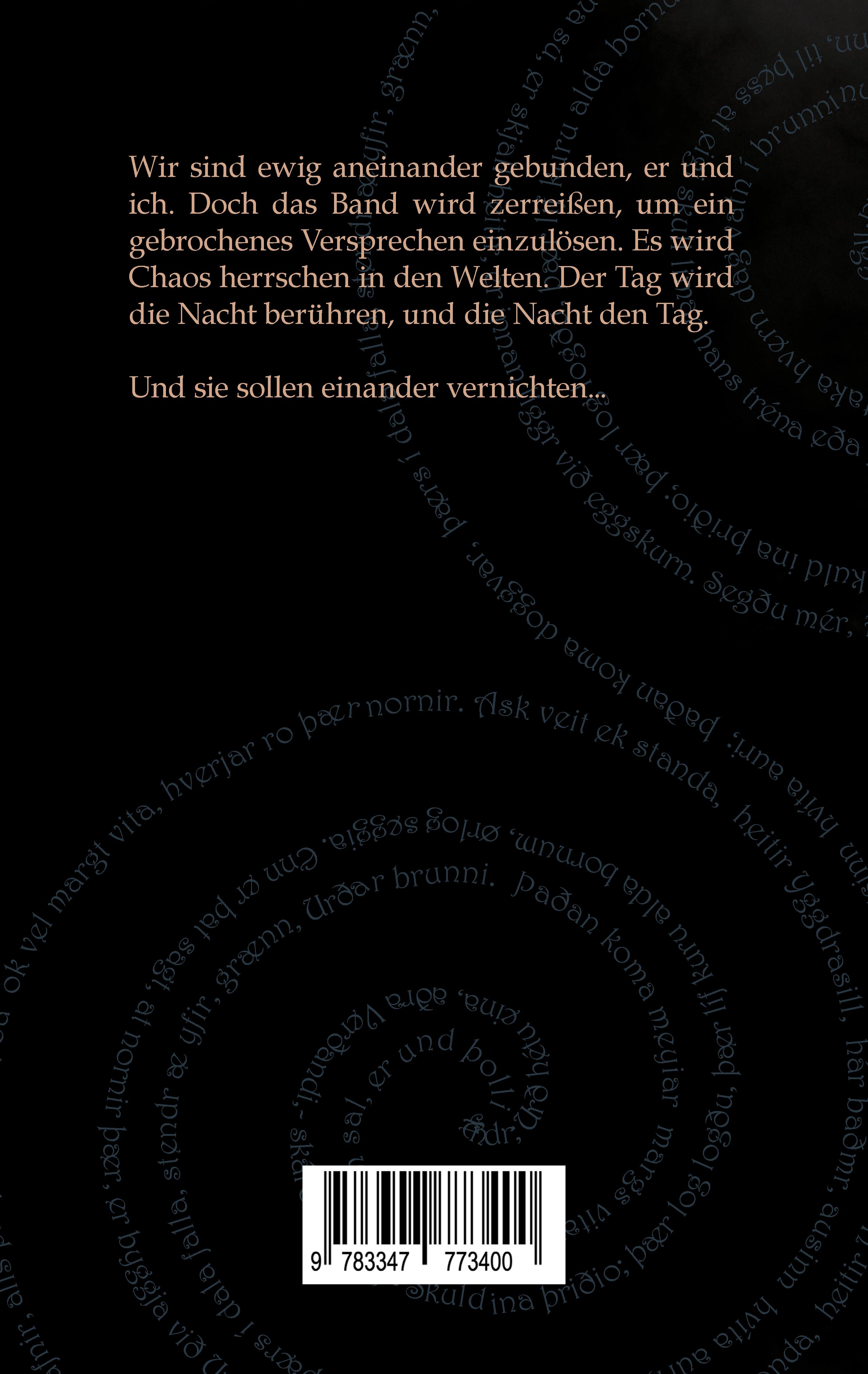Rückseitencover Feuerlabyrinth