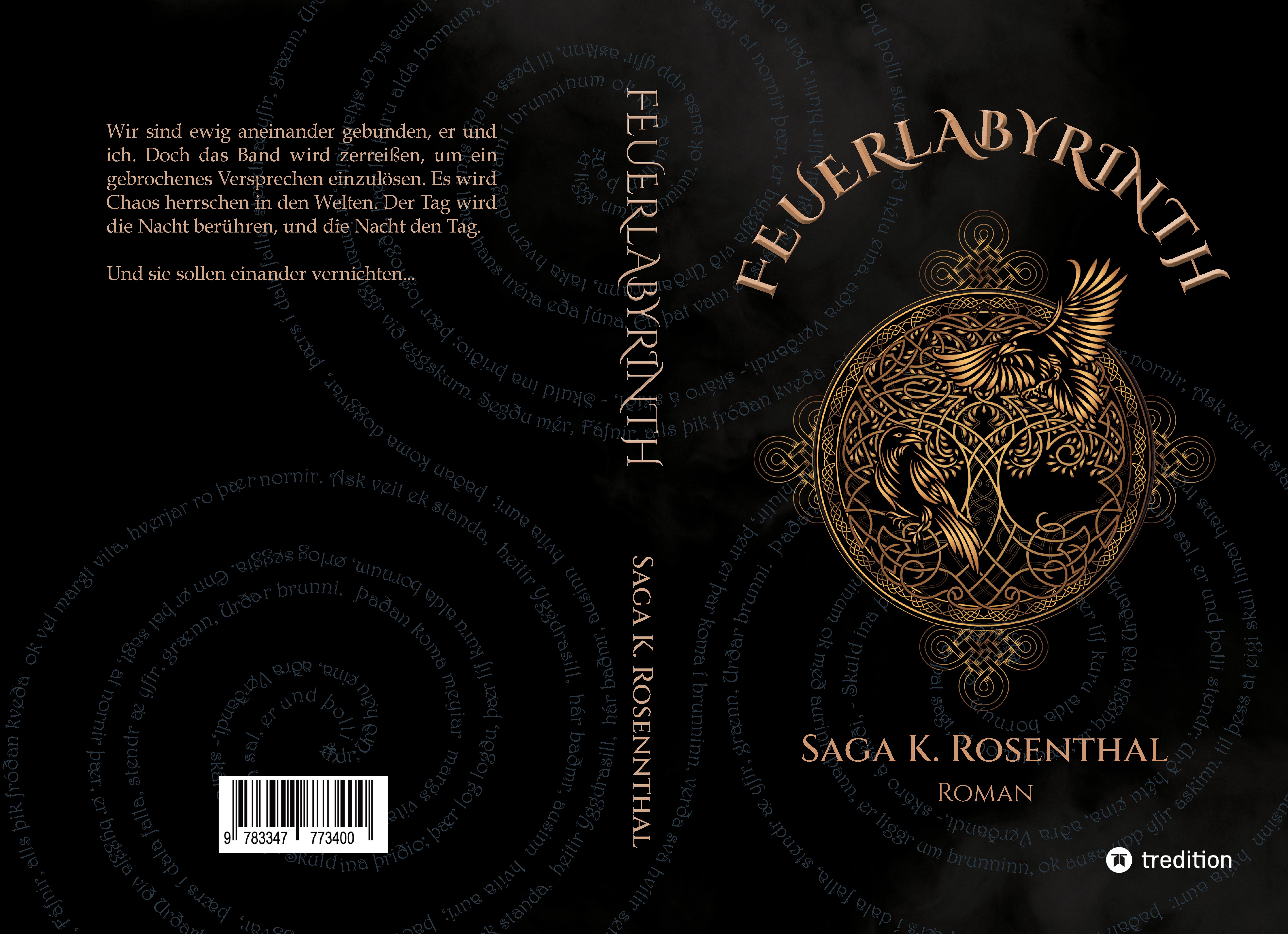 Gesamtes Coverbild Feuerlabyrinth