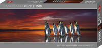 Vorderes Coverbild King Penguins Puzzle