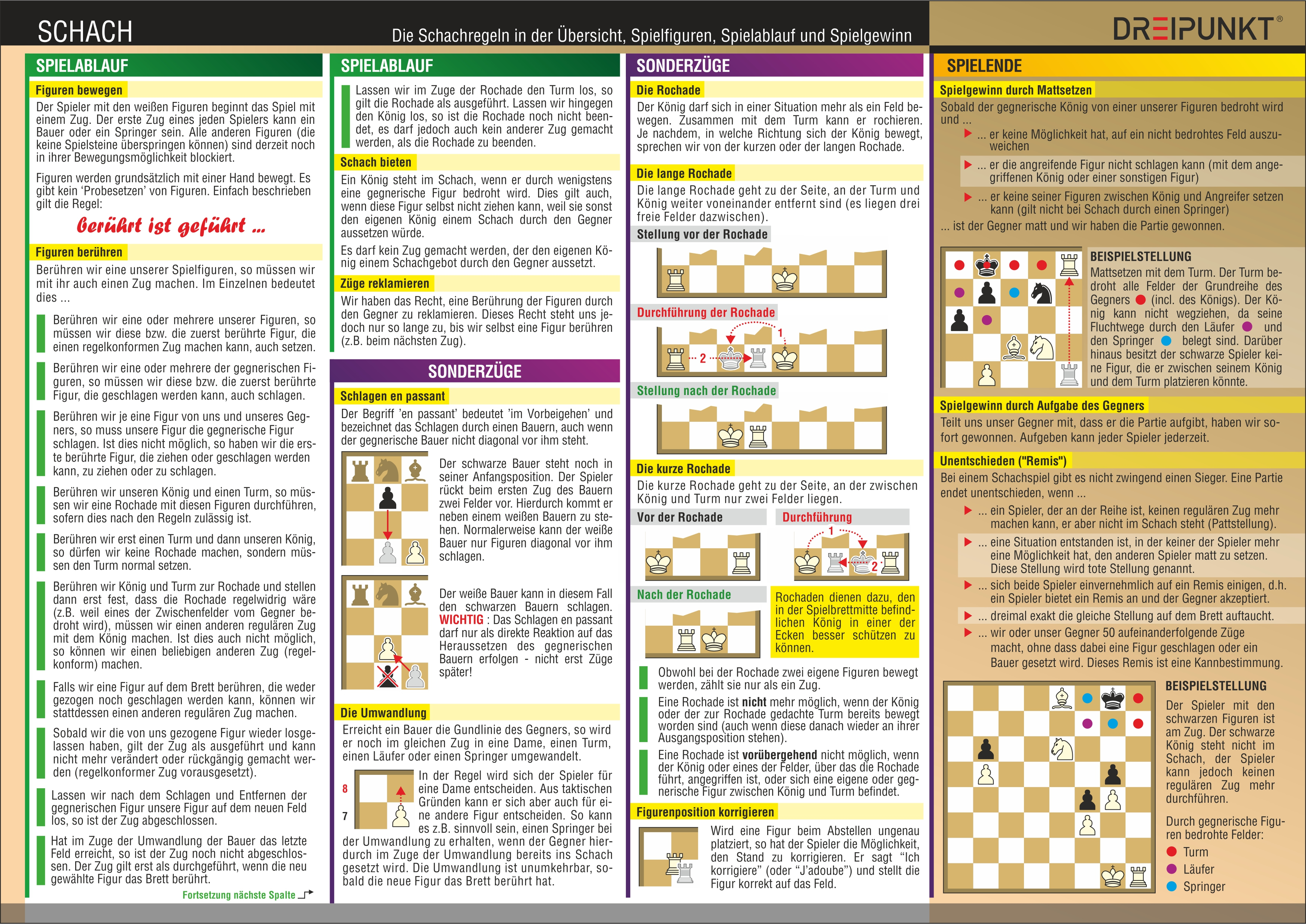 Rückseitencover Schach - Regeln