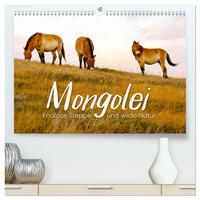 Vorderes Coverbild Mongolei - Endlose Steppe und wilde Natur. (hochwertiger Premium Wandkalender 2025 DIN A2 quer), Kunstdruck in Hochglanz