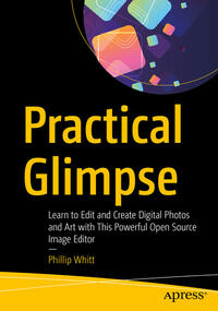 Vorderes Coverbild Practical Glimpse