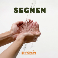 Vorderes Coverbild Segnen