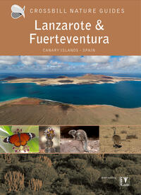 Vorderes Coverbild Lanzarote and Fuerteventura