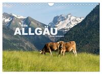 Vorderes Coverbild das Allgäu (Wandkalender 2025 DIN A4 quer), CALVENDO Monatskalender
