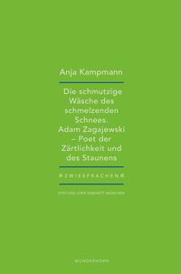 Vorderes Coverbild Die schmutzige Wäsche des schmelzenden Schnees