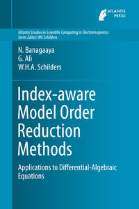 Vorderes Coverbild Index-aware Model Order Reduction Methods