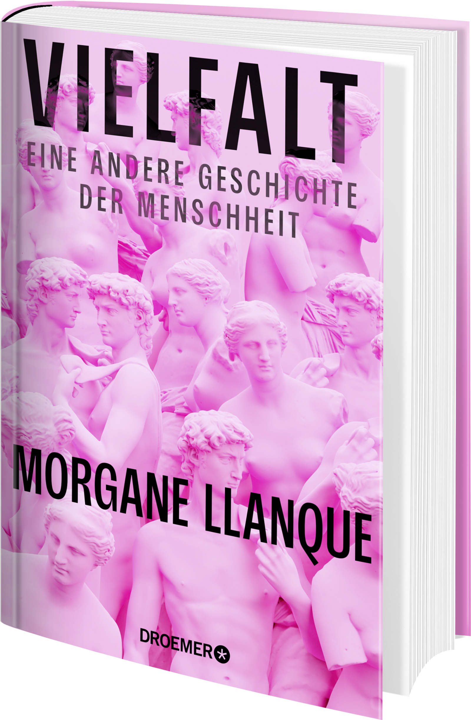 Anderes Coverbild Vielfalt