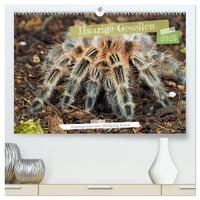 Vorderes Coverbild Haarige Gesellen (hochwertiger Premium Wandkalender 2025 DIN A2 quer), Kunstdruck in Hochglanz