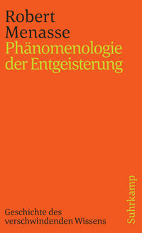 Vorderes Coverbild Phänomenologie der Entgeisterung