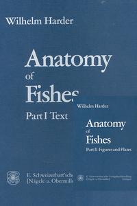 Vorderes Coverbild Anatomy of Fishes