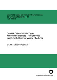 Vorderes Coverbild Shallow turbulent wake flows: momentum and mass transfer due to large-scale coherent vortical structures